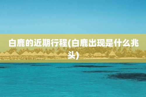 白鹿的近期行程(白鹿出现是什么兆头)