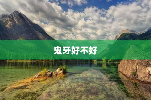 鬼牙好不好