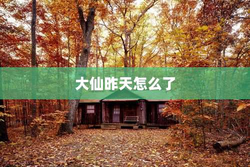 大仙昨天怎么了