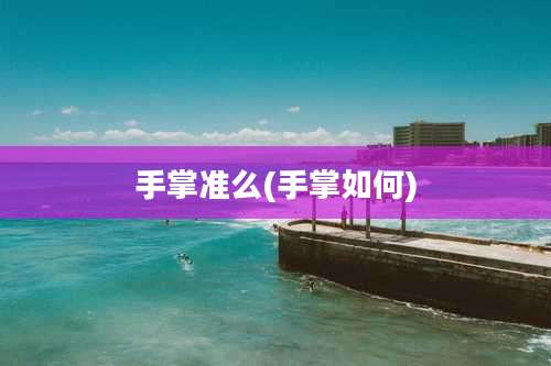 手掌准么(手掌如何)