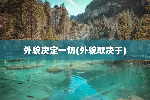 外貌决定一切(外貌取决于)