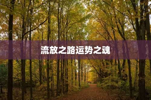 流放之路运势之魂