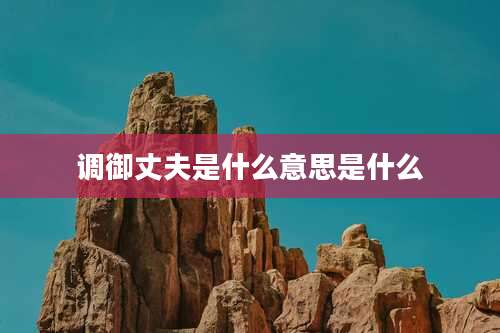 调御丈夫是什么意思是什么