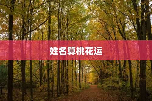 姓名算桃花运