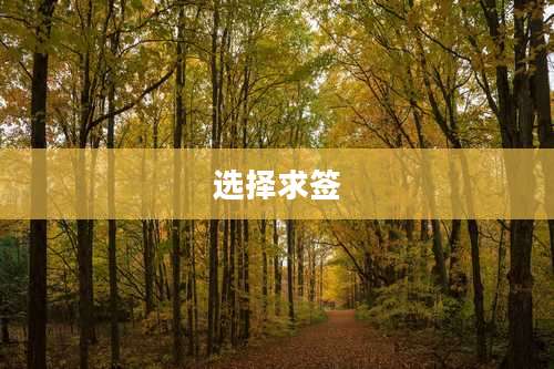 选择求签