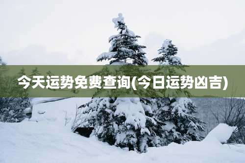 今天运势免费查询(今日运势凶吉)