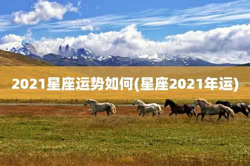 2021星座运势如何(星座2021年运)
