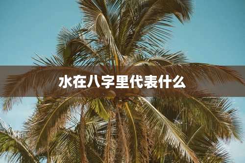 水在八字里代表什么