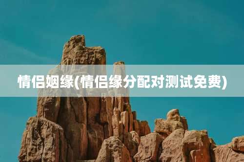 情侣姻缘(情侣缘分配对测试免费)