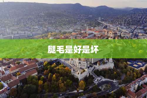 腿毛是好是坏