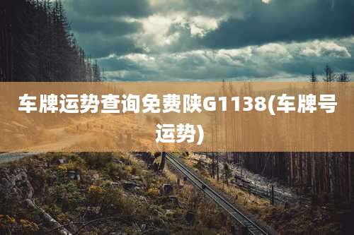 车牌运势查询免费陕G1138(车牌号 运势)
