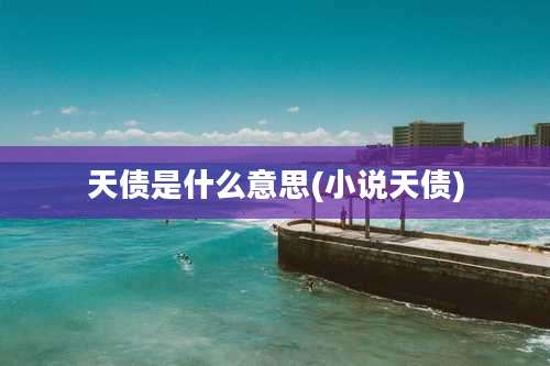 天债是什么意思(小说天债)