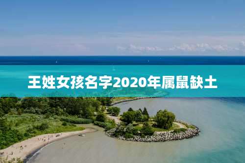 王姓女孩名字2020年属鼠缺土