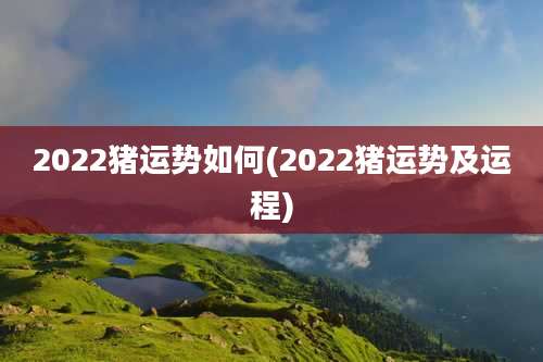 2022猪运势如何(2022猪运势及运程)