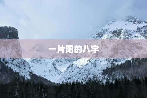 一片阳的八字