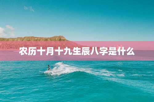 农历十月十九生辰八字是什么