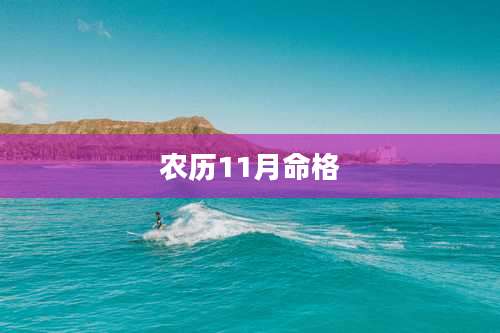 农历11月命格