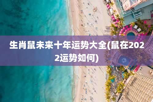 生肖鼠未来十年运势大全(鼠在2022运势如何)