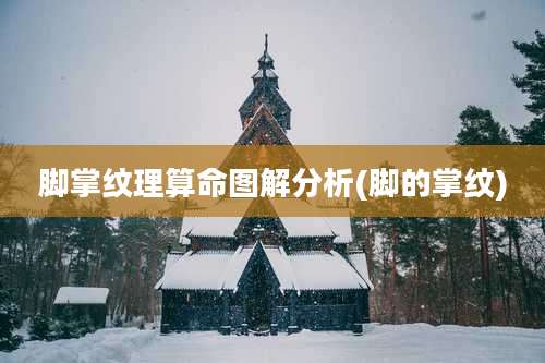 脚掌纹理算命图解分析(脚的掌纹)