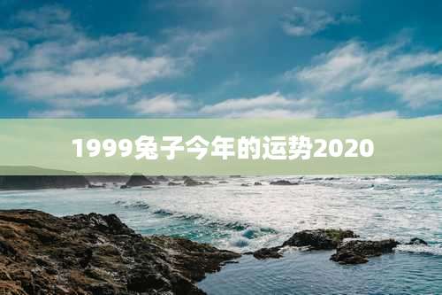 1999兔子今年的运势2020