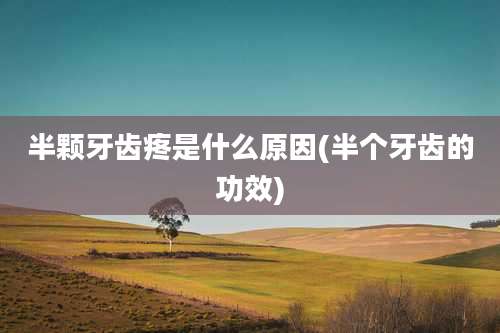 半颗牙齿疼是什么原因(半个牙齿的功效)