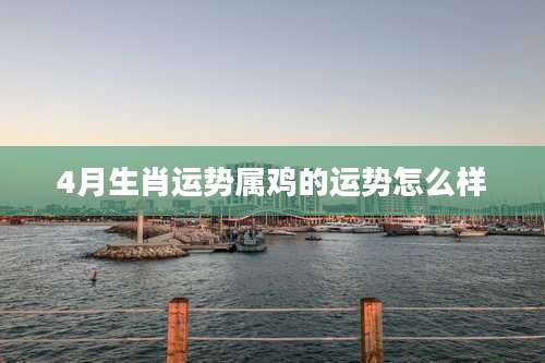 4月生肖运势属鸡的运势怎么样