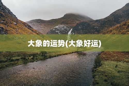 大象的运势(大象好运)