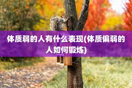 体质弱的人有什么表现(体质偏弱的人如何锻炼)