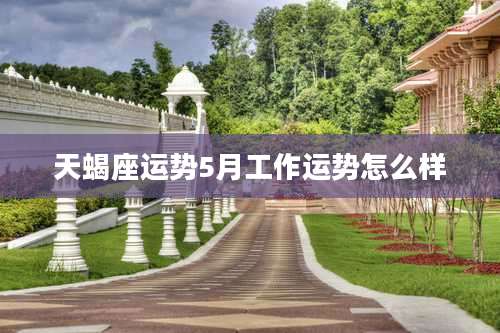 天蝎座运势5月工作运势怎么样