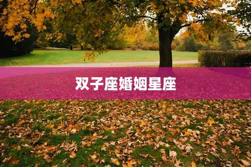 双子座婚姻星座