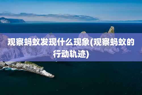 观察蚂蚁发现什么现象(观察蚂蚁的行动轨迹)