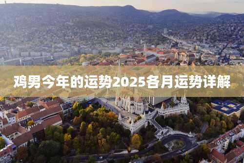 鸡男今年的运势2025各月运势详解
