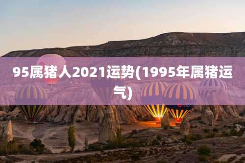 95属猪人2021运势(1995年属猪运气)