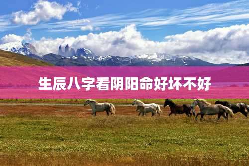 生辰八字看阴阳命好坏不好