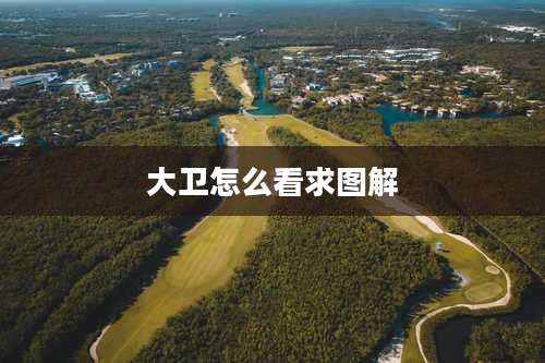 大卫怎么看求图解