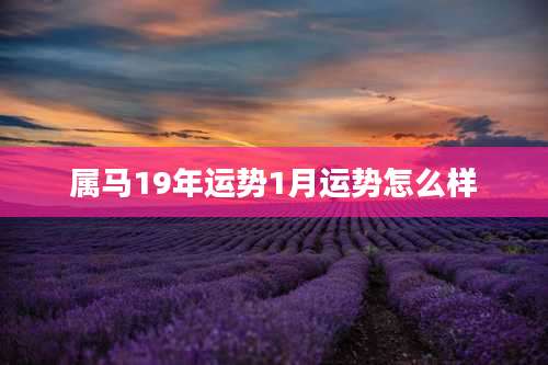 属马19年运势1月运势怎么样