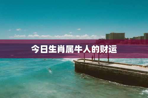 今日生肖属牛人的财运