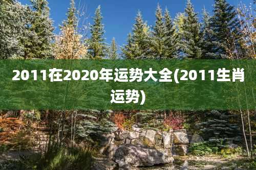 2011在2020年运势大全(2011生肖运势)