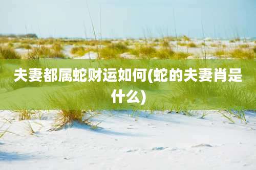 夫妻都属蛇财运如何(蛇的夫妻肖是什么)