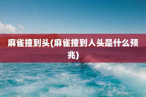 麻雀撞到头(麻雀撞到人头是什么预兆)