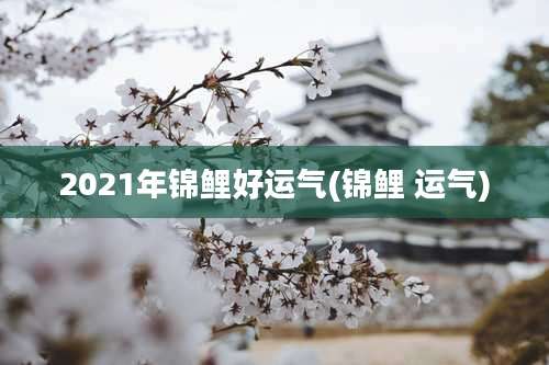 2021年锦鲤好运气(锦鲤 运气)