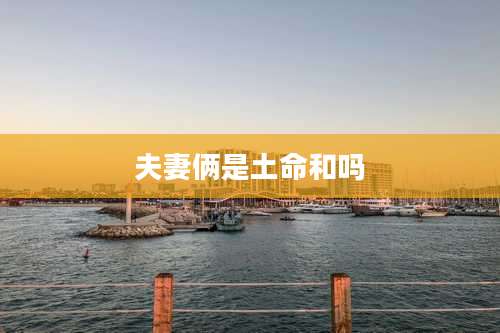 夫妻俩是土命和吗
