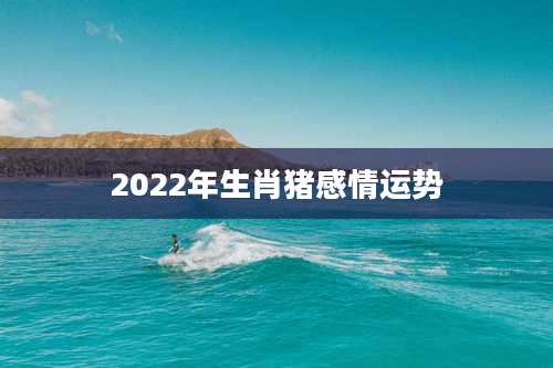 2022年生肖猪感情运势