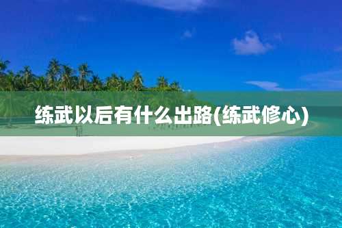 练武以后有什么出路(练武修心)