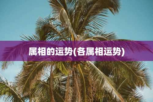 属相的运势(各属相运势)