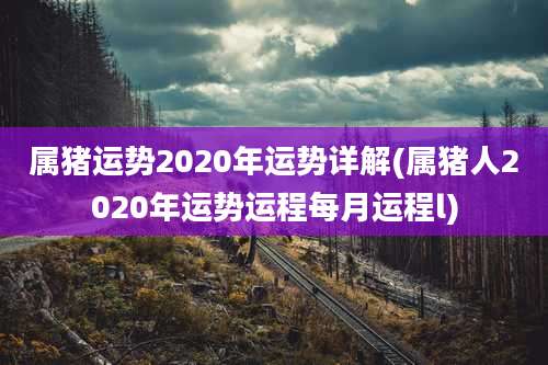 属猪运势2020年运势详解(属猪人2020年运势运程每月运程l)