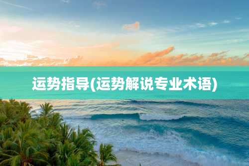 运势指导(运势解说专业术语)