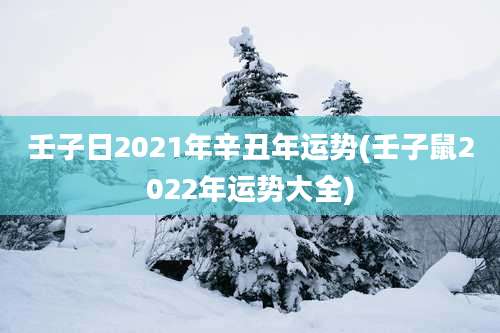 壬子日2021年辛丑年运势(壬子鼠2022年运势大全)