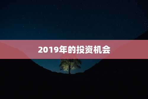 2019年的投资机会