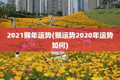 2021猴年运势(猴运势2020年运势如何)